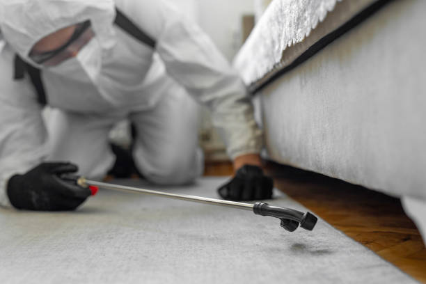 Professional Bed Bug Control technician working in Portsmouth, OH