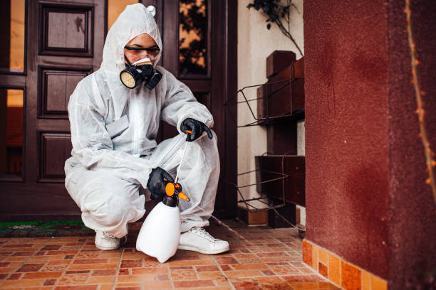 Reliable Bed Bug Control contractor in Portsmouth, OH by Nex Pest Control