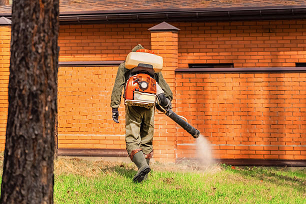 Trusted Mosquito Control service in Portsmouth, OH - Nex Pest Control